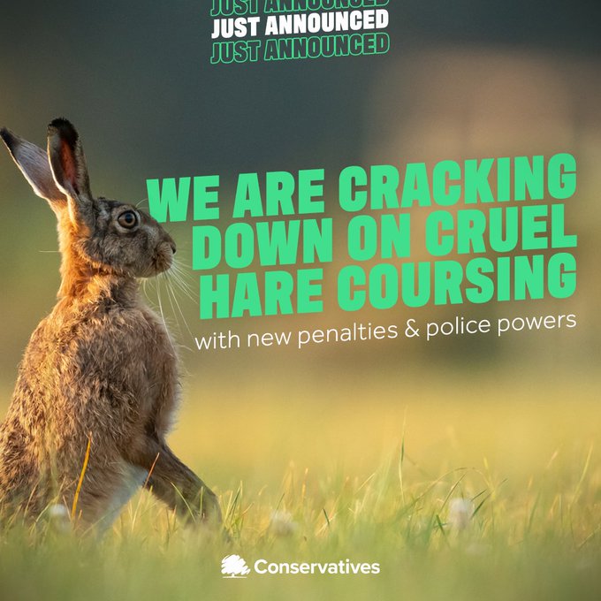 New Legislation To Crack Down On Cruel Illegal Hare Coursing